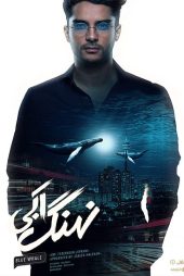نهنگ آبی