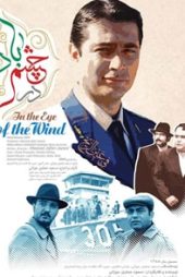 در چشم باد