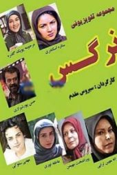 نرگس