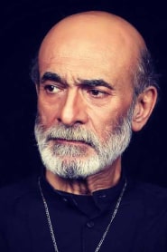 سید ضیاءالدین دری
