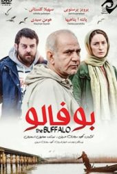 بوفالو