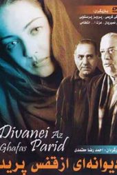دیوانه‌ای از قفس پرید