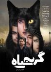 گربه سیاه